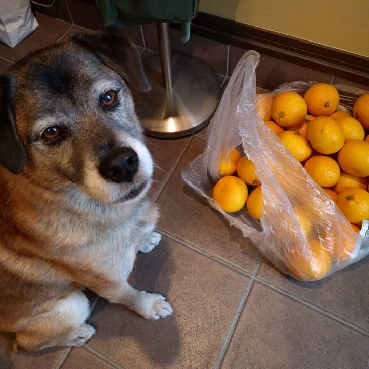 A9cdc9a2 a9e8 48d4 9a3b 32d4d3d7c319 1708823082893