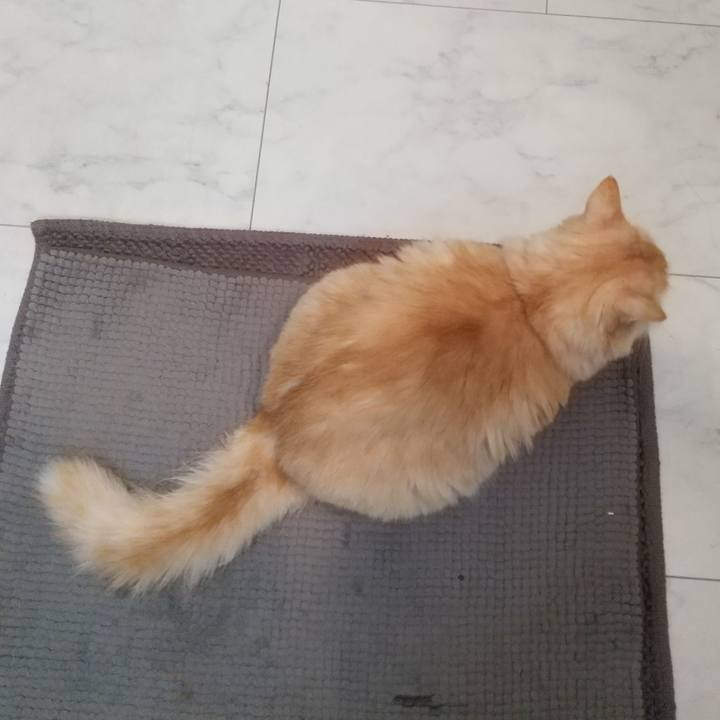 A9cdd023 5a5a 4af9 a974 bc41bb29acab 1638482002556