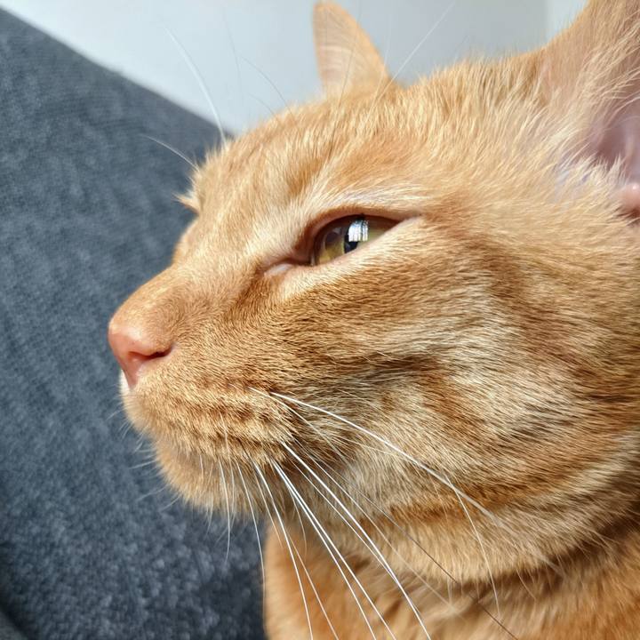 A9cdd375 5010 44b2 8150 5b6036980e2c 1621033867715