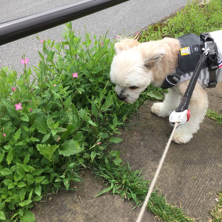 A9cddedf 013c 4ba3 a106 a9bdbbf9556b 1563018495866