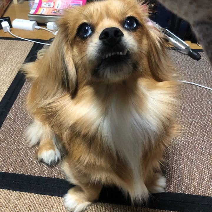 A9cde4a5 f38d 4b71 a8f5 4b33ab08e69b 1541371334874