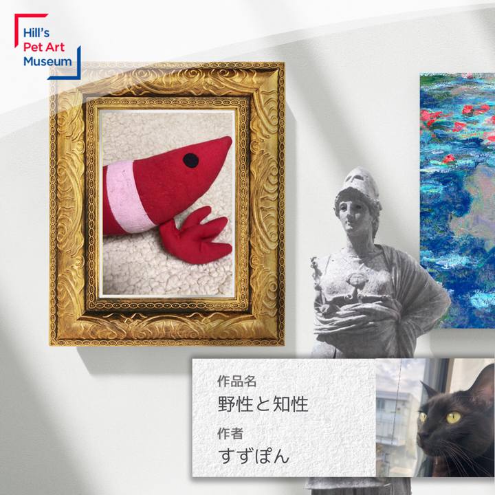 A9cde5fb 3277 40ef b3d6 36fb9cea8045 1603025624336