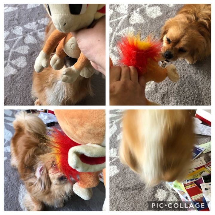 A9cdf787 de35 4d7f b516 58960d29b52a 1562452673879