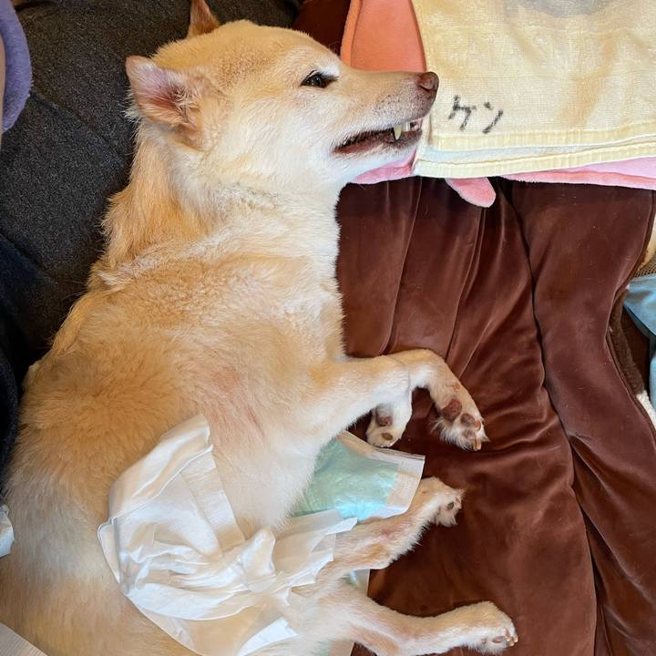 A9cdfb55 7ca2 4e42 942c 0c418c951cbd 1678346755361