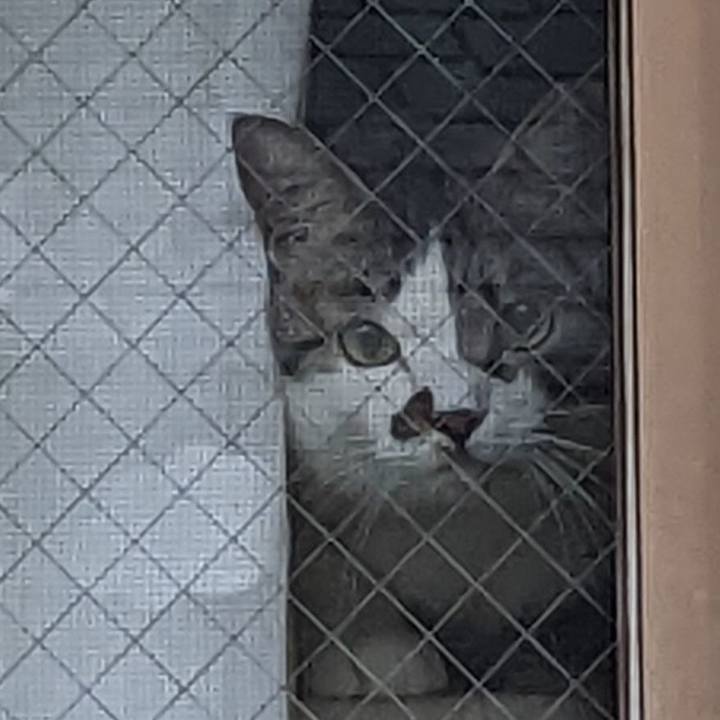 A9ce0c2c c004 49de a563 edb2fde611f3 1667257672179