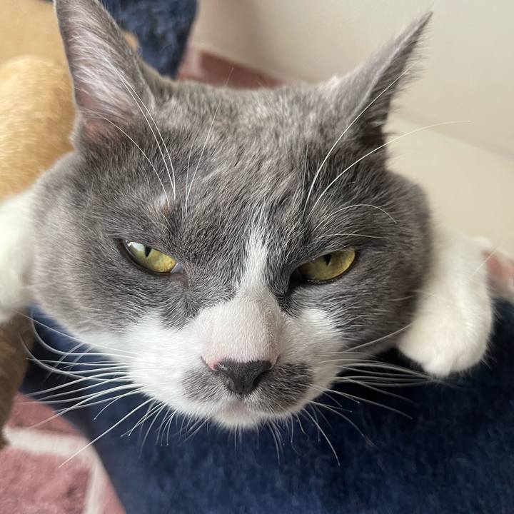 A9ce26bd 12df 49df bd9c 635f19136be4 1755233927173