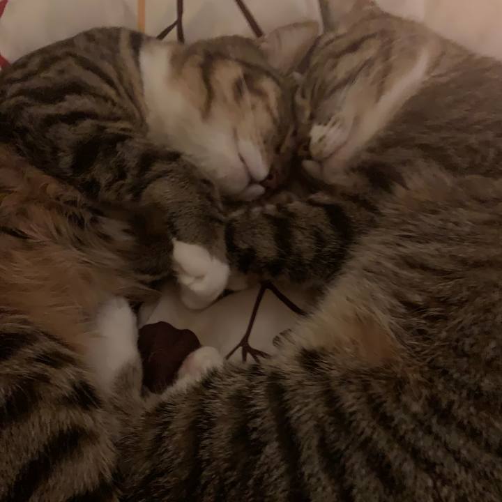 A9ce3a97 b29b 4502 bda5 b980be02d2e6 1550399747972