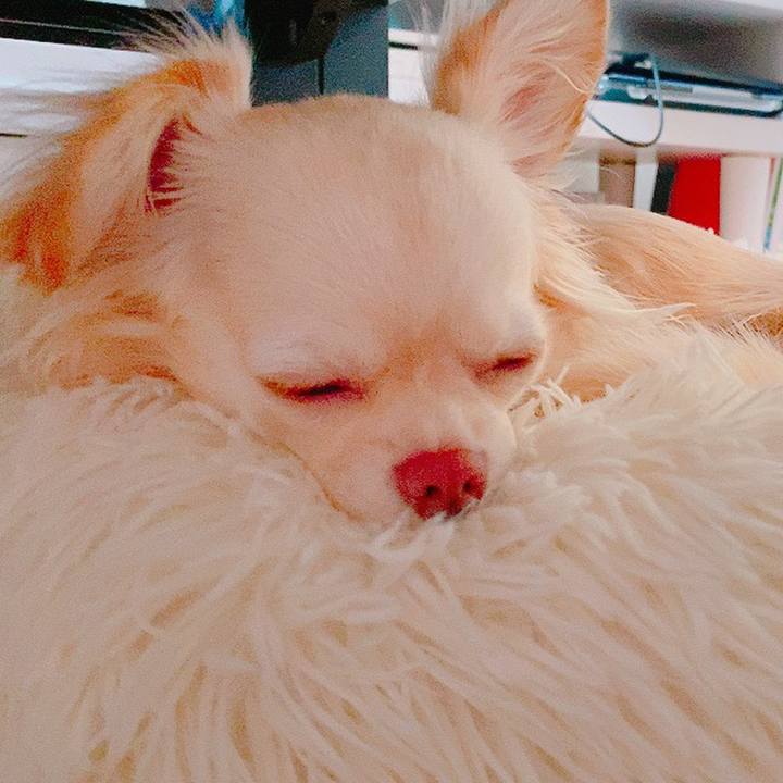 A9ce498e 08d1 4564 86e8 56a65f1976a4 1628283773423