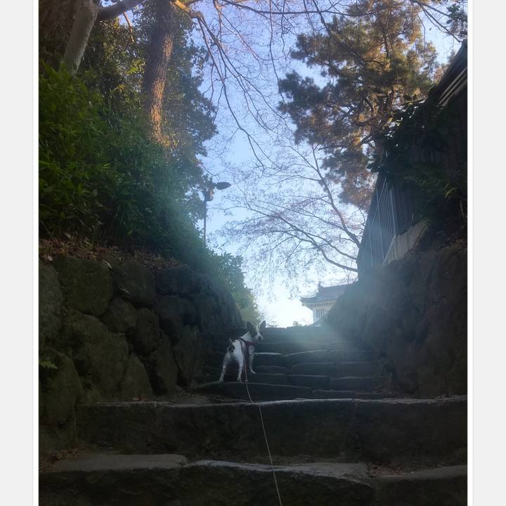 A9ce5e82 8a02 4eb6 b62e 6b43a77c097f 1513951762965