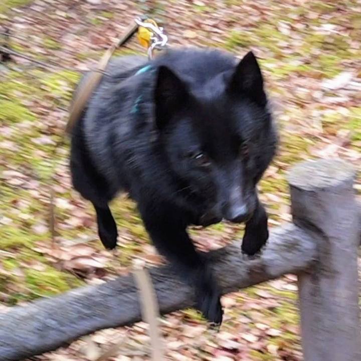 A9ce6401 314b 4b8d baf6 8f89120e33c3 1700779319630