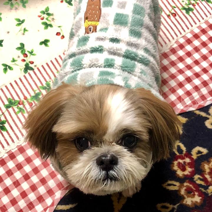 A9ce946b 058b 4411 88d3 fa31f66ef55e 1577789434643