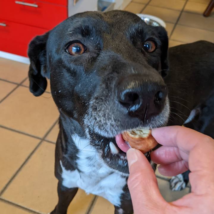 A9cead18 aa5c 4f4c 844a 68e3537cf1b1 1645075843788