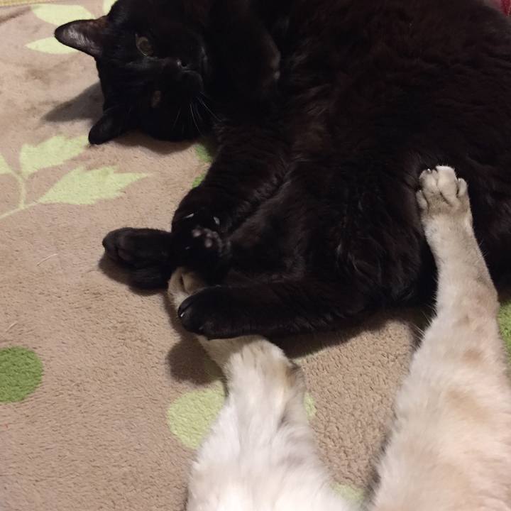 A9ced21c a425 43fc aaaa 7307bd6e8231 1554118606013