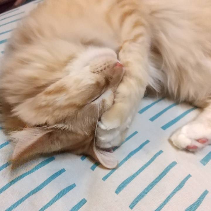 A9ced8bf 5a0f 49df 963a dfe5a00560f2 1632834763913