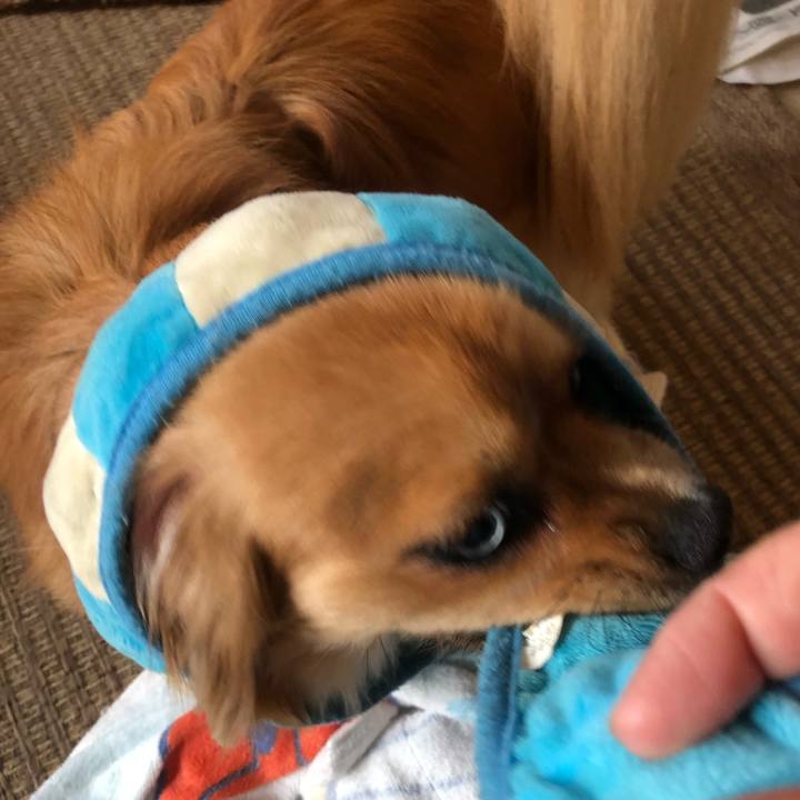 A9cef32b 70d3 4474 a35b c699d3ce6edb 1532639119889