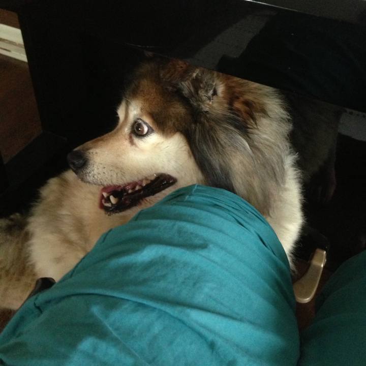 A9cf2aeb 04d1 4a29 8198 4065d11daebb 1662450821297