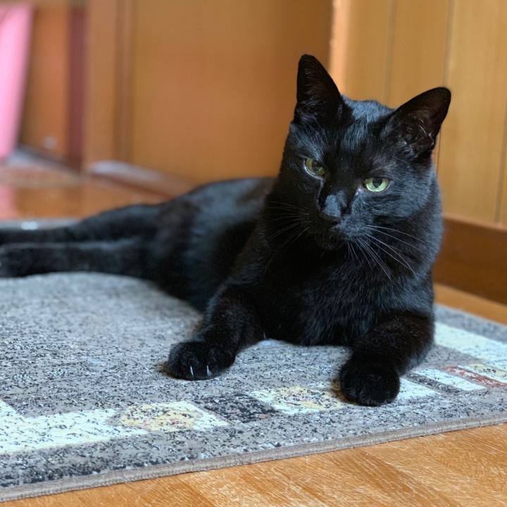 A9cf3742 f52f 4824 a881 ab03635b4613 1559783232417