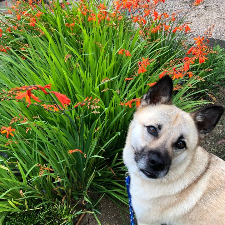 A9cf4579 7a9b 4c4f ac86 d880c86231fe 1530363571338