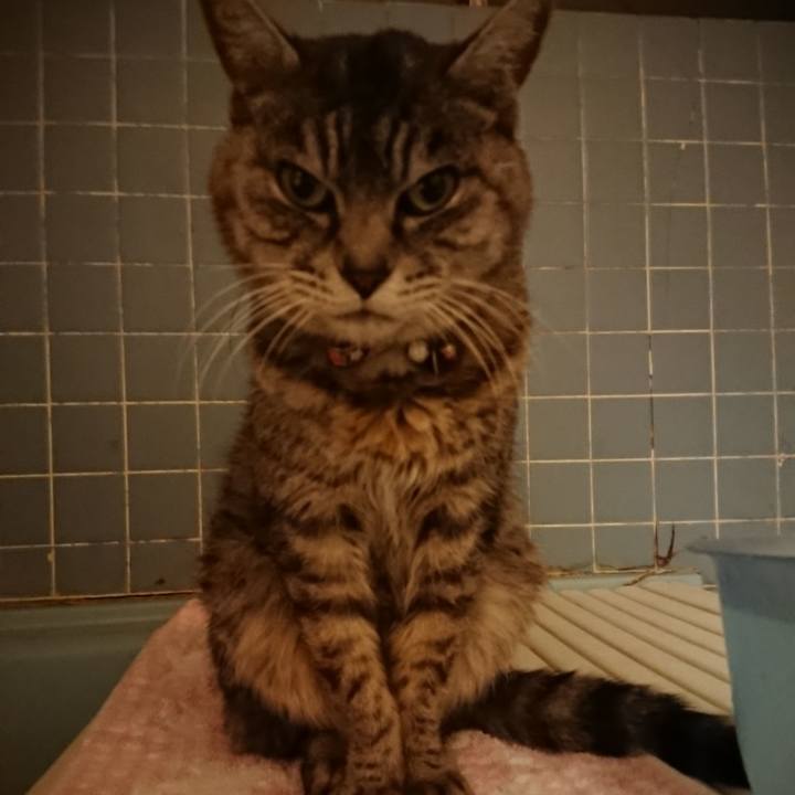 A9cf5544 5fe9 4e9e 8f90 00d2106b4b3a 1580029978569