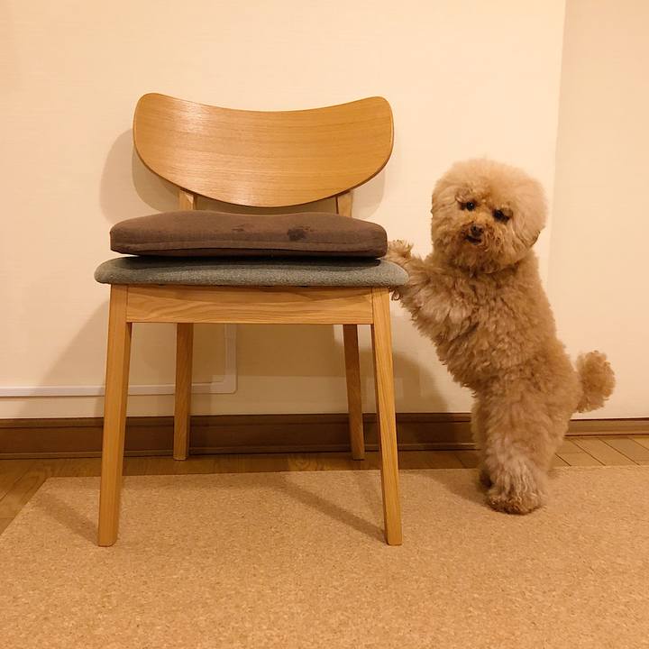 A9cf7350 8dba 4a89 9eb9 f1bcaf2ec256 1563525315466