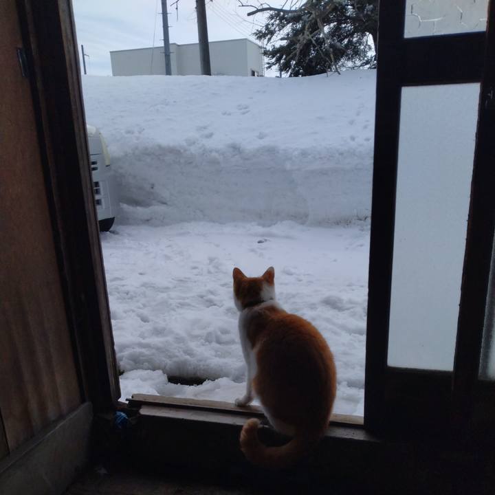 A9cfbd7c ddbc 4a82 9da1 533dac618868 1770711024908