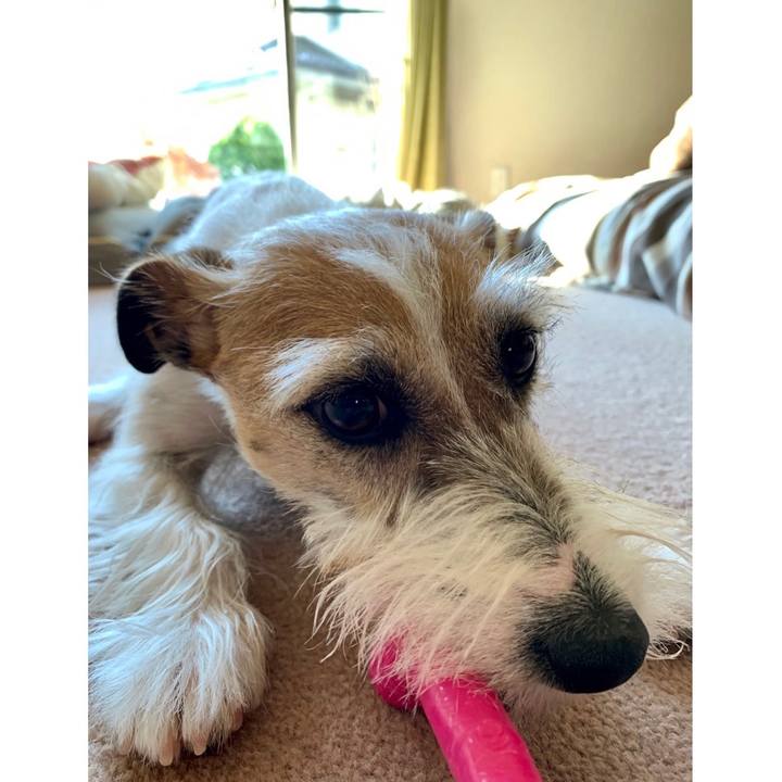 A9cfc6bd 64db 42b3 a85c 2f4ad2d4aa51 1613052295183