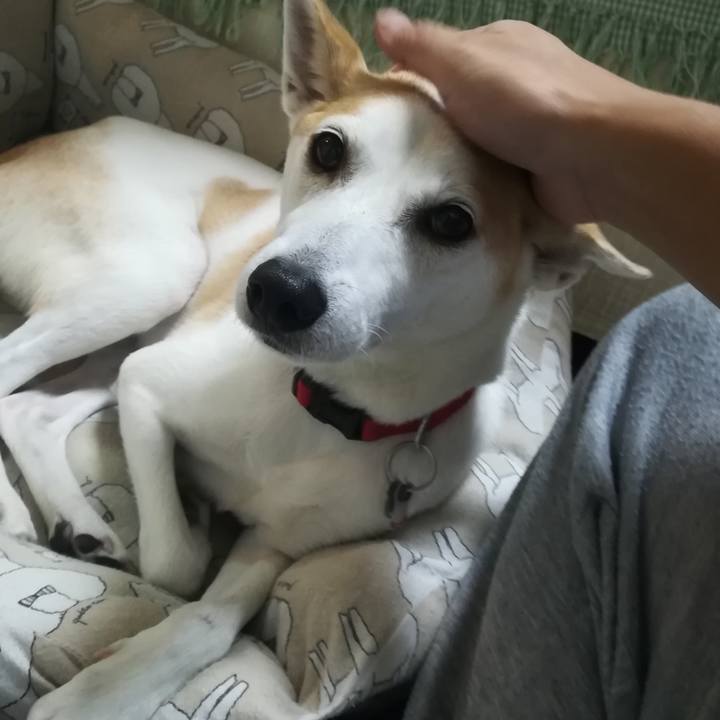 A9cfed7c 96bc 4b8c 8621 d75bfb181080 1606262006565