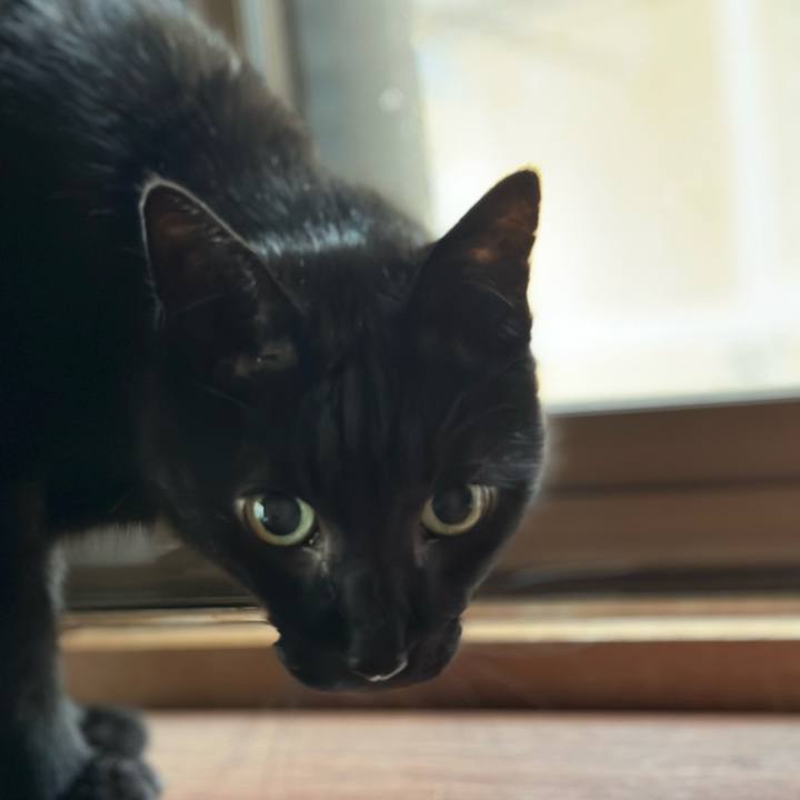 A9cfed83 5a8b 4689 a6dd f8a02740b4af 1681261000271