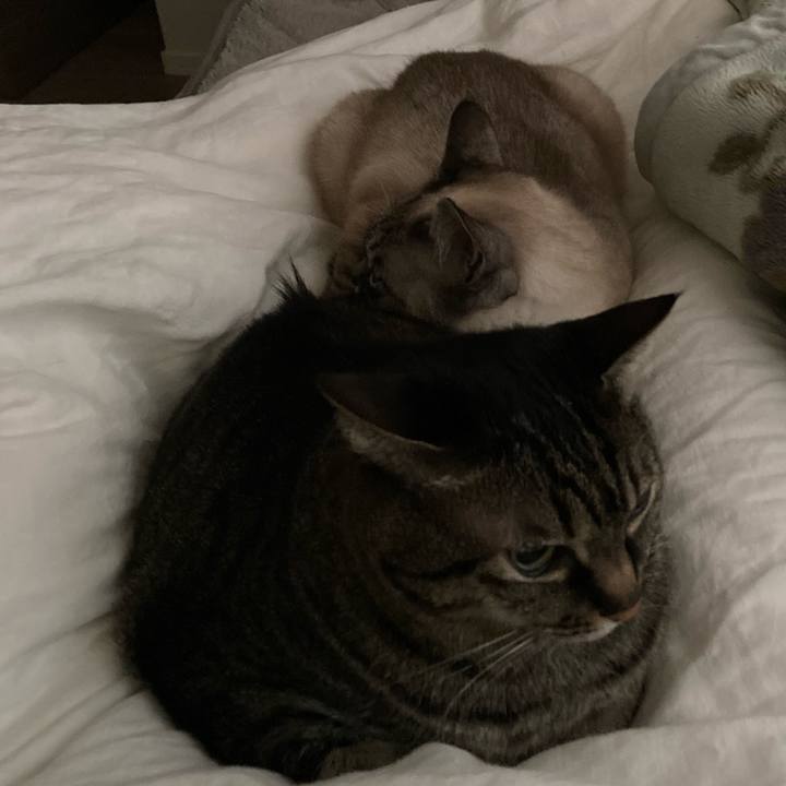 A9d001fe 44fe 4fee a12e bd88ebcdba8d 1679091683385