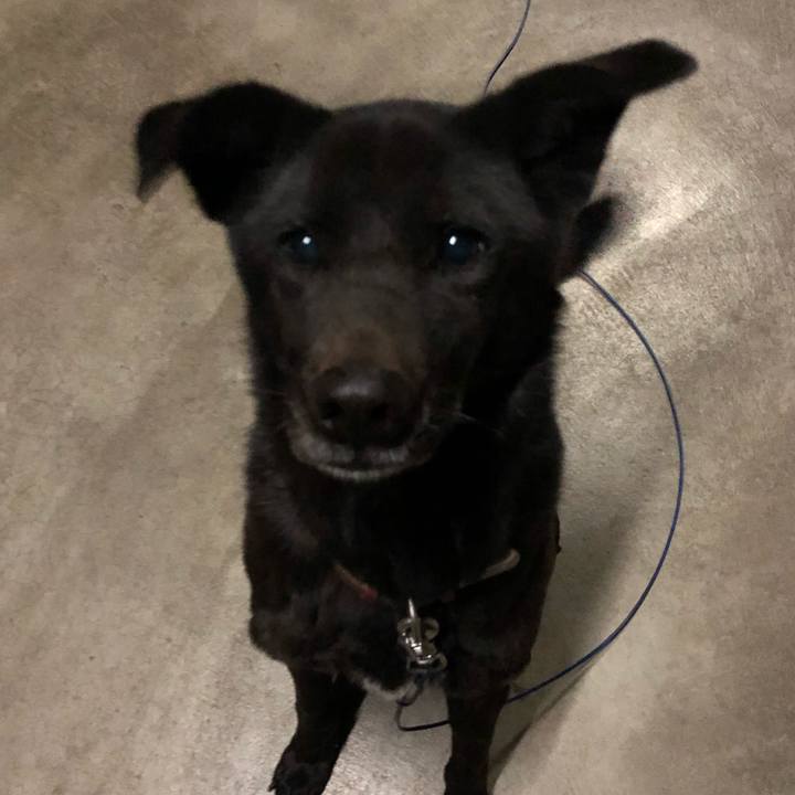 A9d00a40 d2b7 47ad a139 2aabed7765ea 1548005897586