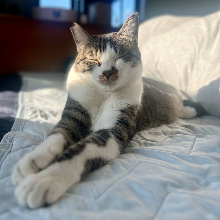 A9d01307 279c 4857 8499 f209a974bc24 1765280153563