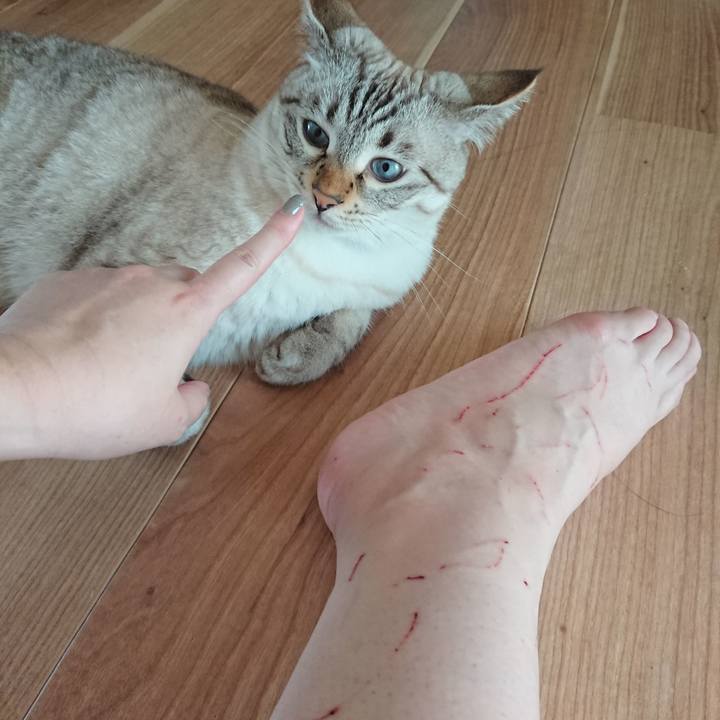 A9d05f71 1912 4c80 8843 0b0f72ce9b6e 1537145568970