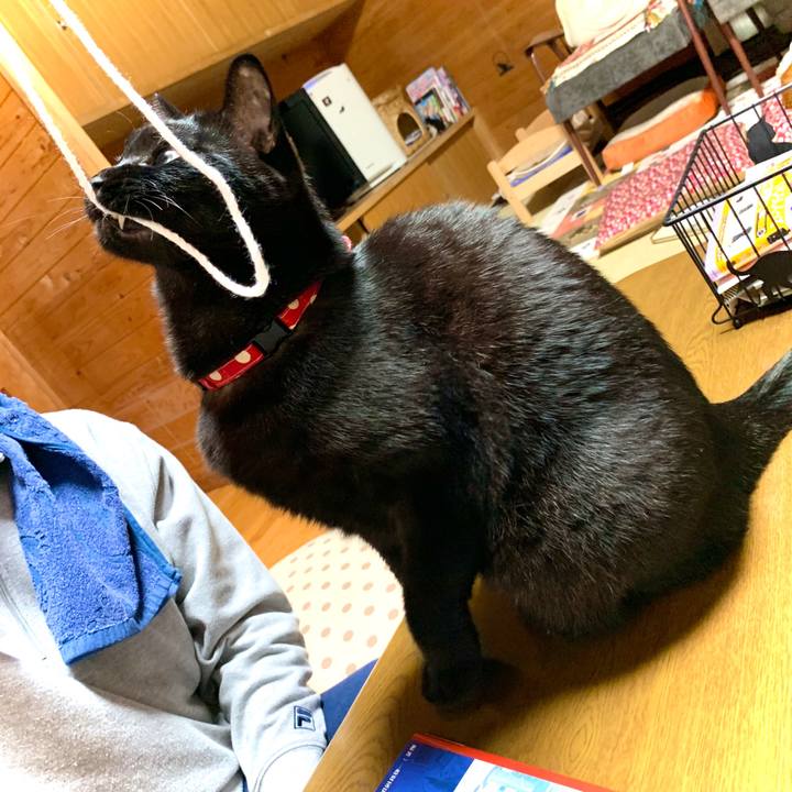 A9d0f3f7 1a40 4272 b93e 17e4e6016085 1578404713365