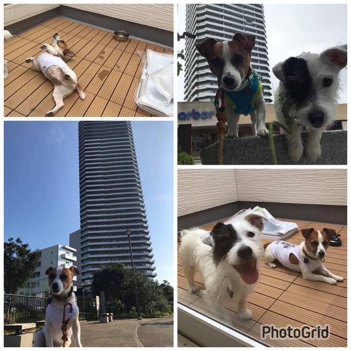 A9d0fba1 128b 4610 a43d 6ec8914b3e51 1693951185443