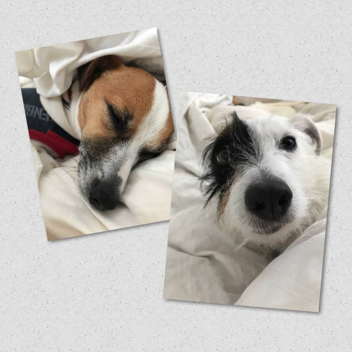 A9d101d5 b6d4 401d 86e0 1a2d13b80b3a 1520291154788