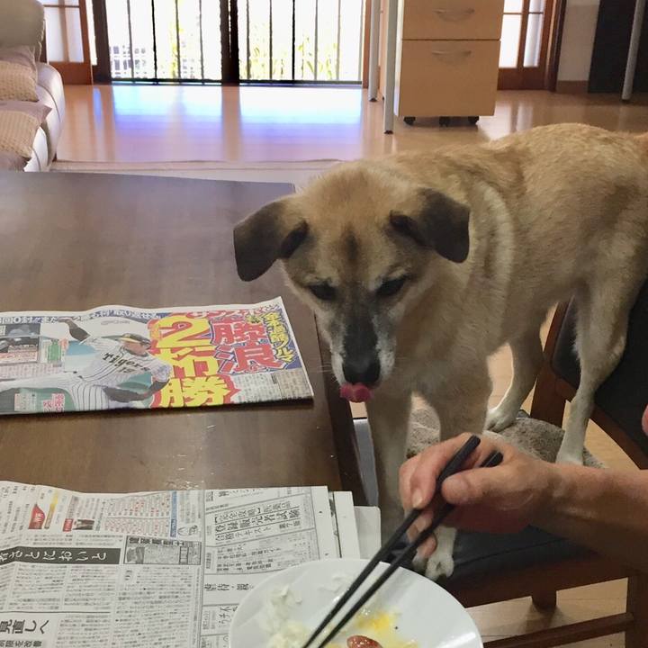 A9d10570 4227 4784 bb14 9dee0911ba49 1531266965282