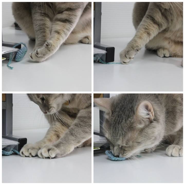 A9d10aa2 c974 4231 a419 32376f5e3a04 1646883416212