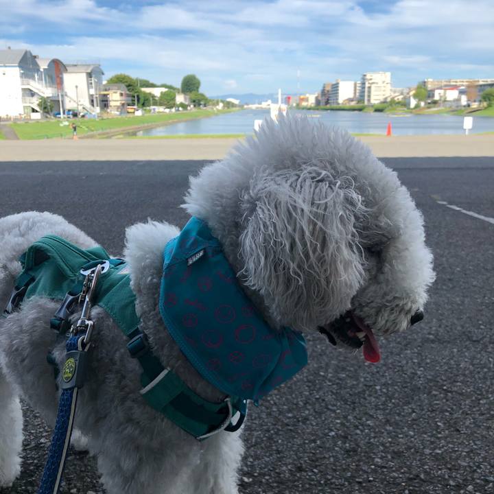 A9d10d45 decf 4d6c 83ce 334bce78d747 1660177116784