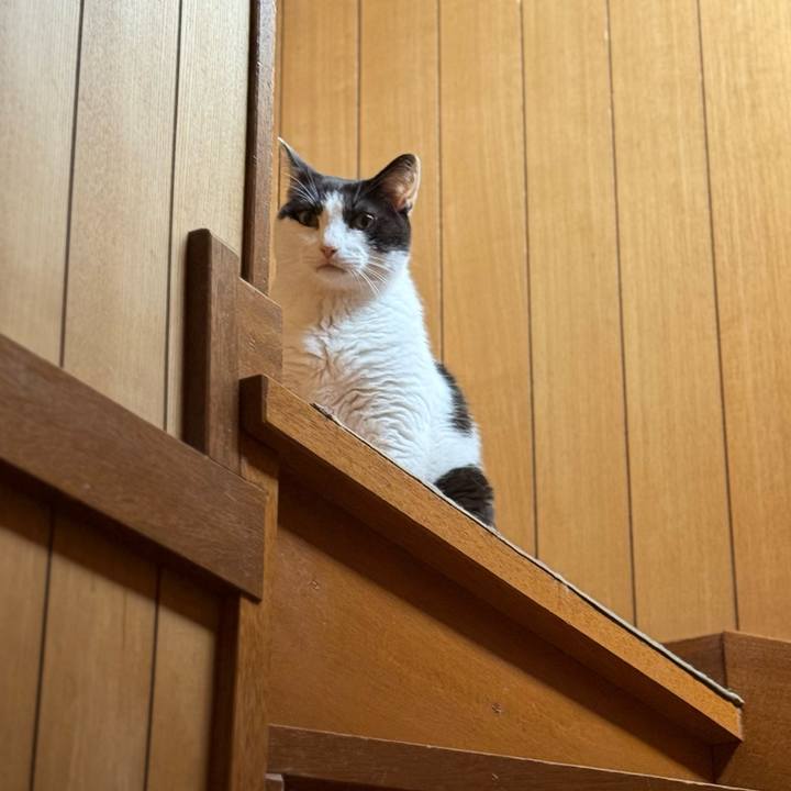 A9d11c15 c5e3 40d9 8854 affda33abff5 1752626473354