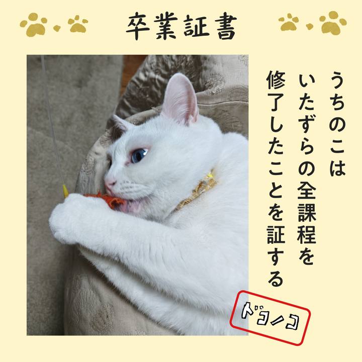 A9d1551f 1a2f 468e be6e 4d848465bb78 1772063416873