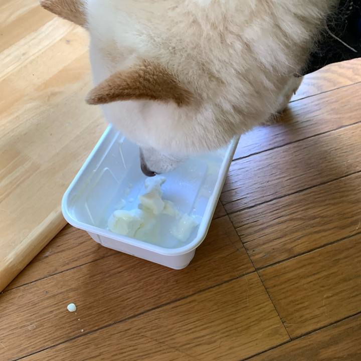 A9d19f12 fb85 43b7 a5ef 4064e91e85f1 1652749172429