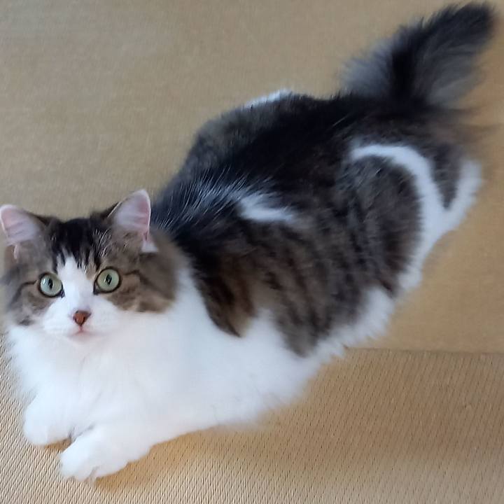 A9d1a41e 18b3 4146 94cf df58e7169329 1600982984491