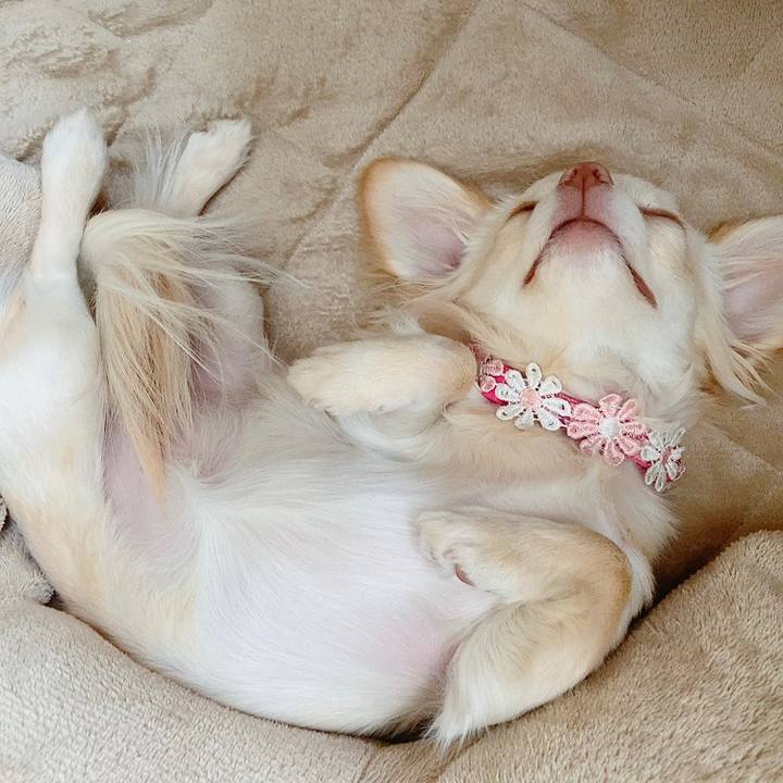 A9d1a950 ce55 4133 a9fd ecc93b0878c3 1614314084457