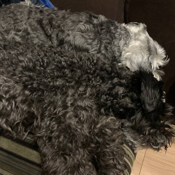 A9d1c201 c3c4 4dcd a257 18eddba12510 1651065394248