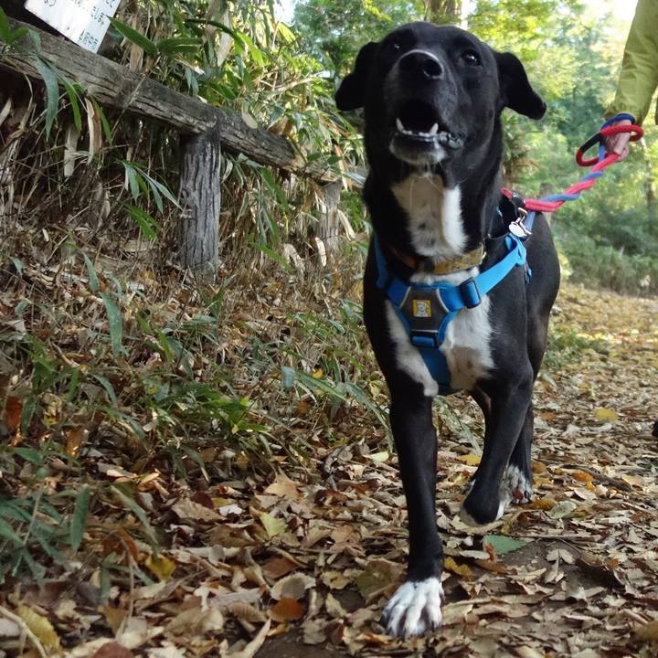 A9d1c32b c4d7 434d 94ec 27034e94db74 1605571347619