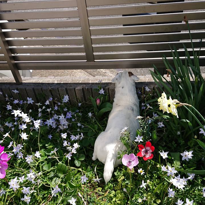 A9d1e81c dac0 479d a267 ccb8adde9244 1585180993044