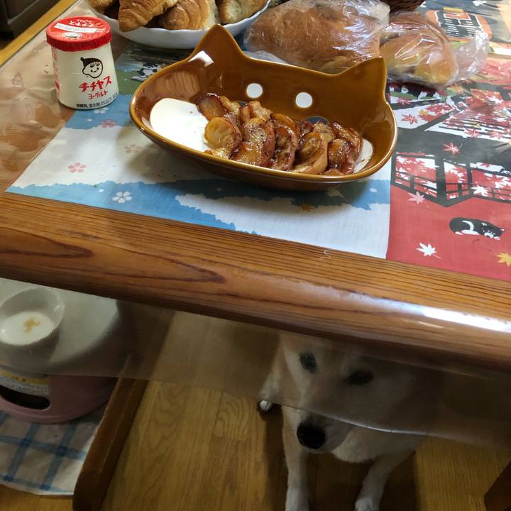 A9d2775b 1c52 472f 9ff7 878c3efcf389 1606365319659