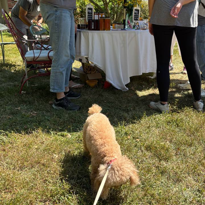 A9d28184 ebbd 4375 8af0 3338602fae4b 1757880303272