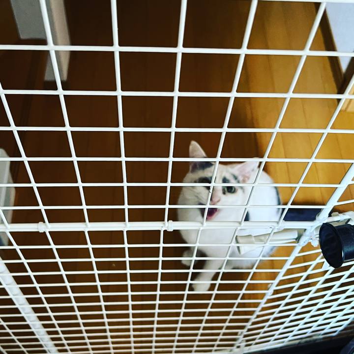 A9d28889 88bc 47d0 80a2 85bc65086680 1659536636648