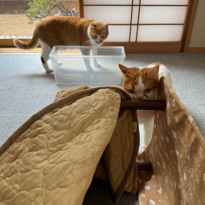 A9d29c2a 78fc 4845 b408 21ea764d6995 1766630364181